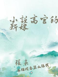 小说高官的暗夜新娘