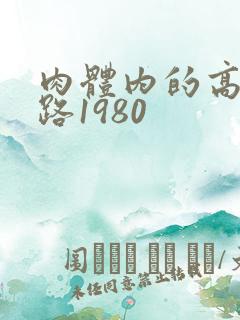 肉体内的高速公路1980