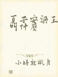夏子安梁王书名叫什么
