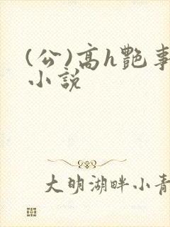 (公)高h艳事小说