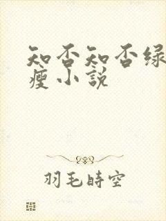 知否知否绿肥红瘦小说