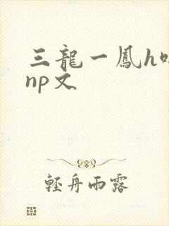 三龙一凤h啪肉np文