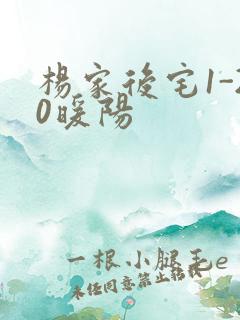 杨家后宅1-20暖阳