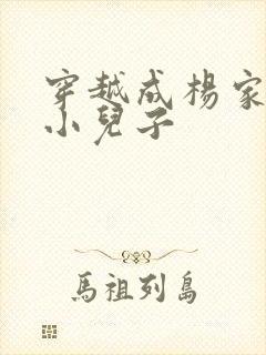 穿越成杨家将最小儿子