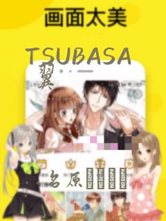 TSUBASA 翼：结局+番外