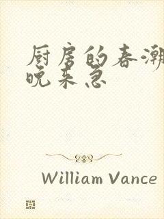 厨房的春潮带雨晚来急