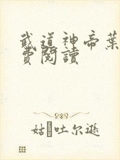 武道神帝叶辰免费阅读