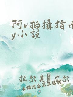 阿v拍摄指南by小说