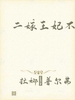 二嫁王妃不好惹