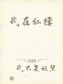 我在红楼