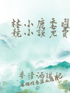 林小鹿季曜珉电竞小说免费阅读