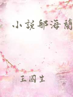 小说那海兰珠
