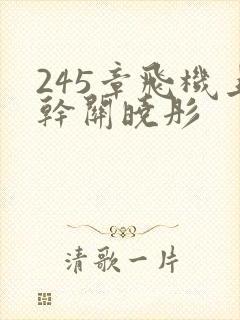 245章飞机上干关晓彤