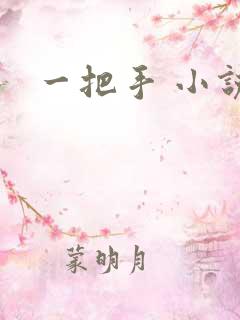 一把手 小说