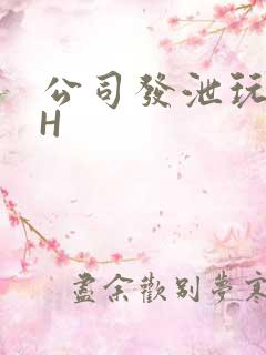 公司发泄玩具lH