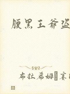 腹黑王爷盗墓妃