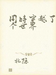 同时穿越了99个世界