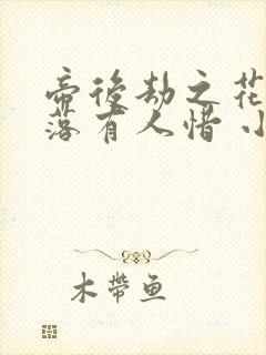 帝后劫之花开花落有人惜 小说