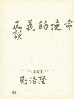 正义的使命 小说