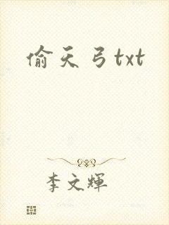 偷天弓txt
