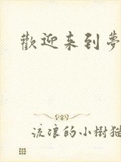 欢迎来到梦乐园