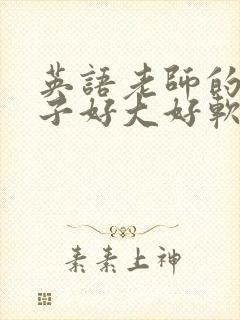 英语老师的小兔子好大好软水