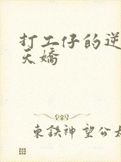 打工仔的逆袭楚天娇