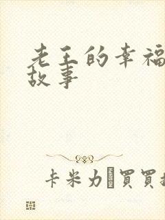 老王的幸福生活故事