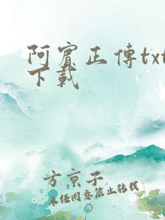 阿宾正传txt下载