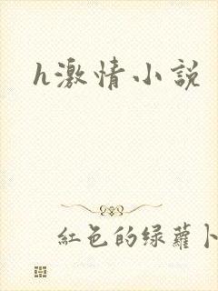 h激情小说