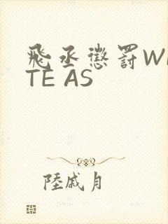 飞丞惩罚WRITE AS