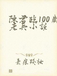 陈君临100岁老兵小说