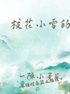 校花小雪的小说