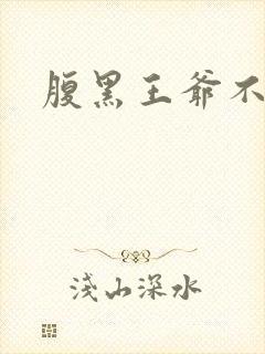 腹黑王爷不良妻