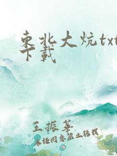 东北大炕txt下载
