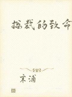 总裁的致命罪妻