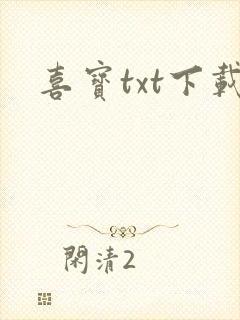 喜宝txt下载