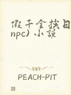 假千金挨日记(npc) 小说