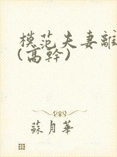 模范夫妻离婚了(高干)