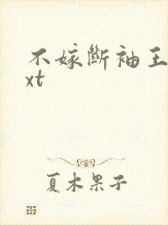 不嫁断袖王爷txt