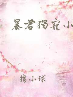 暴君独宠小俏后