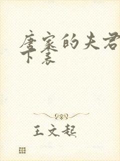 唐家的夫君们帘下衾