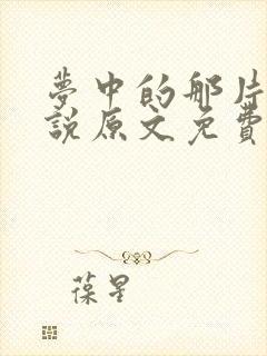 梦中的那片海小说原文免费阅读