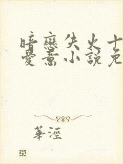 暗恋失火十年的爱意小说免费阅读