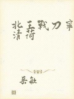 北王战刀宁北苏清荷