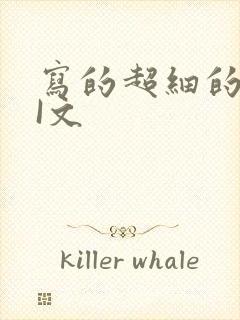 写的超细的DOI文