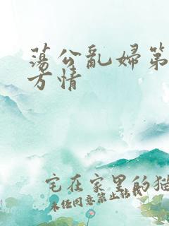 荡公乱妇第1章方情