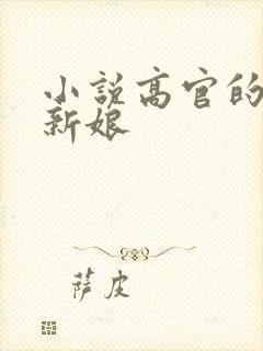 小说高官的暗夜新娘