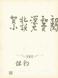 贺北溟和初夏的小说免费阅读无弹窗