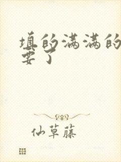 填的满满的 不要了